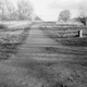 Illustration for article titled Ilford BW Disposable Camera